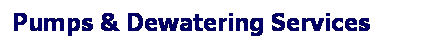 Text Box: Pumps & Dewatering Services    
